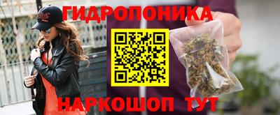 гидра Нальчик
