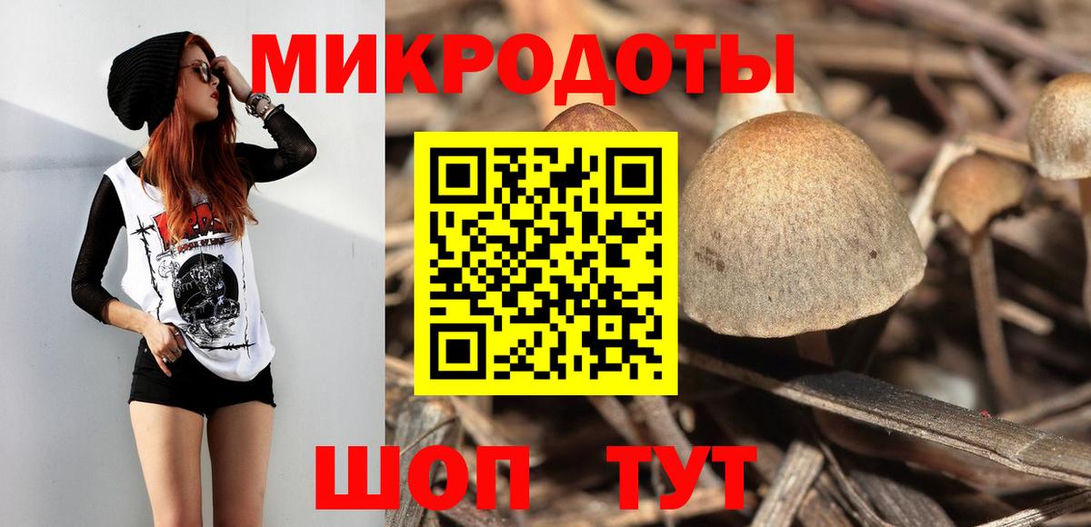 Псилоцибиновые грибы Psilocybine cubensis Холмск